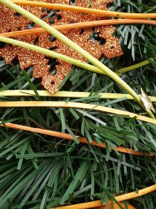 v�no�n� strome�ek na v�noce